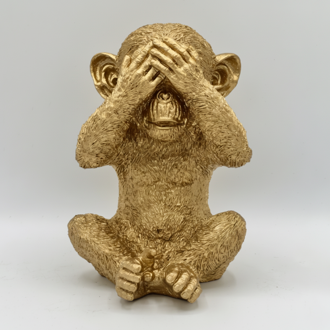 Chimpancés Sabiduria