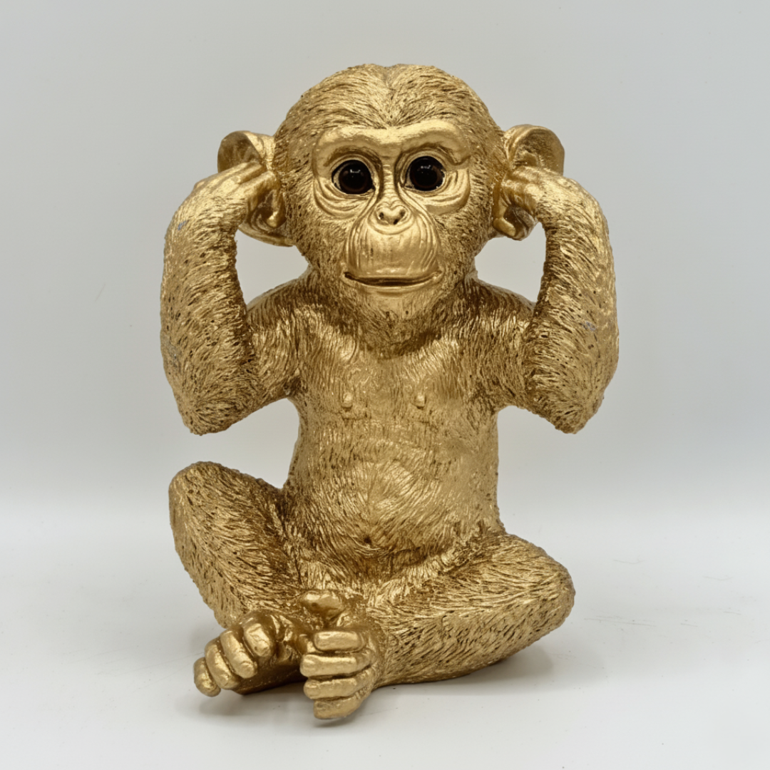 Chimpancés Sabiduria