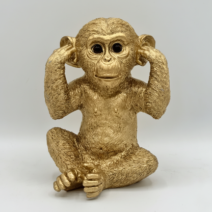 Chimpancés Sabiduria