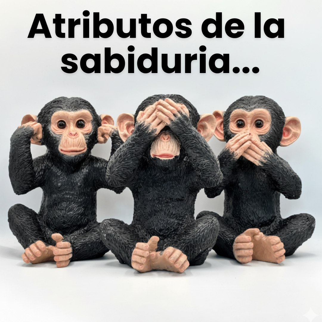Chimpancés Sabiduria
