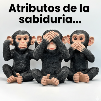 Chimpancés Sabiduria