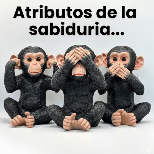 Chimpancés Sabiduria