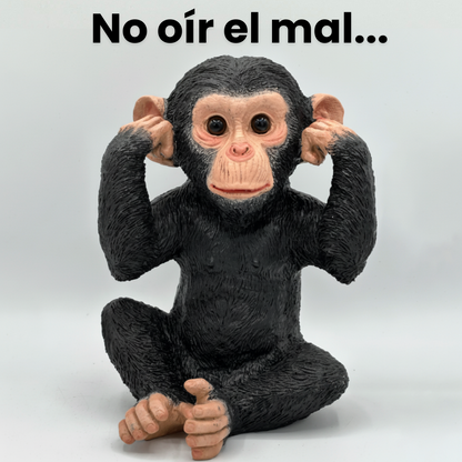 Chimpancés Sabiduria