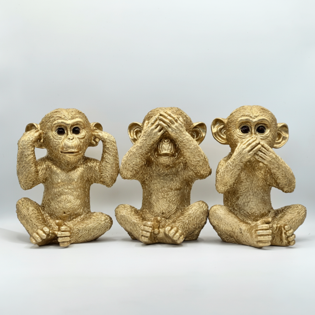 Chimpancés Sabiduria