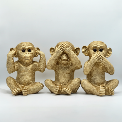 Chimpancés Sabiduria