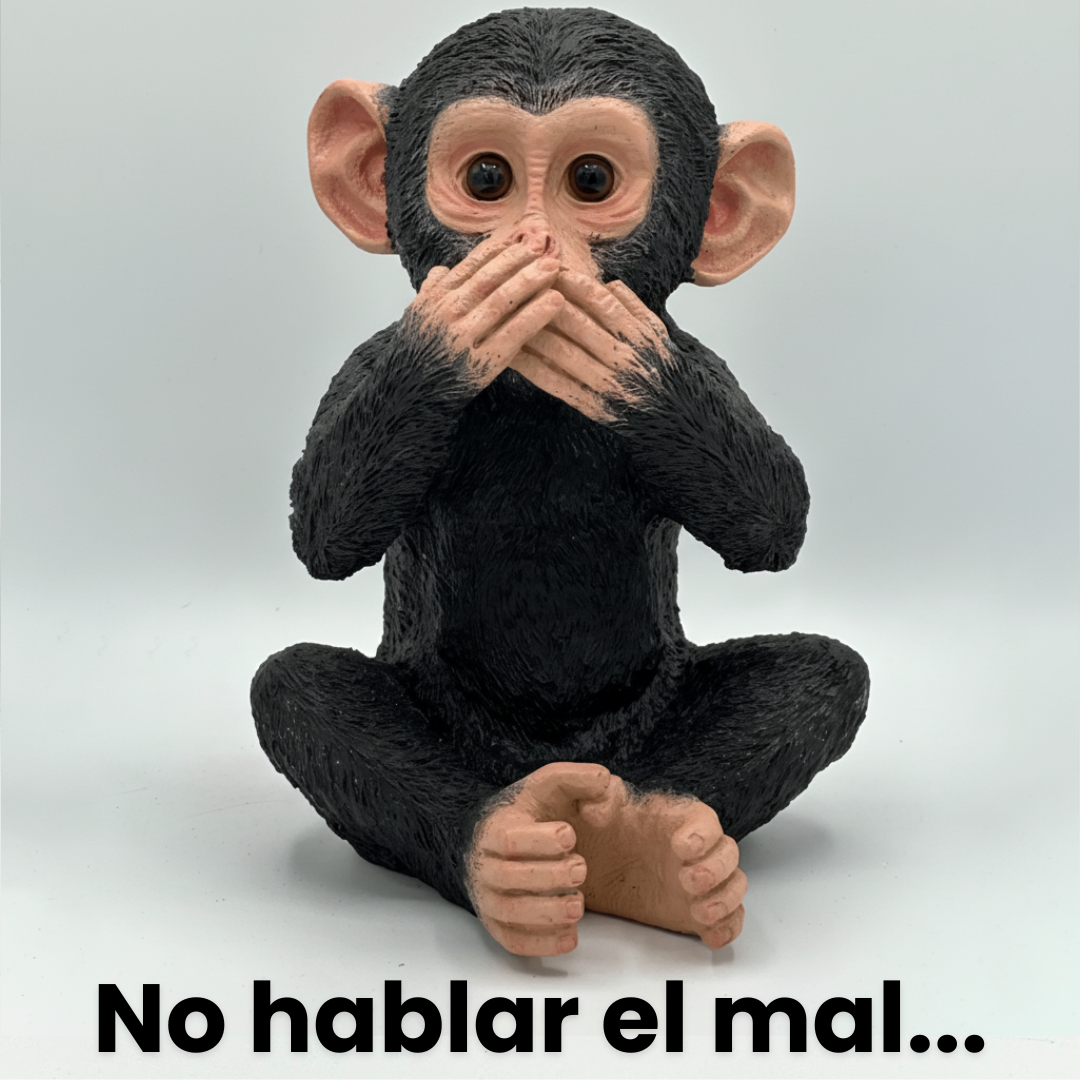 Chimpancés Sabiduria